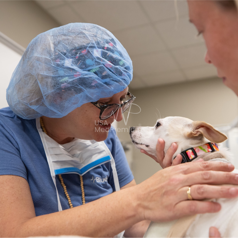 Animal Hospital